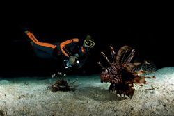One of the fellow divemasters I was working with poses wi... by Steve De Neef 